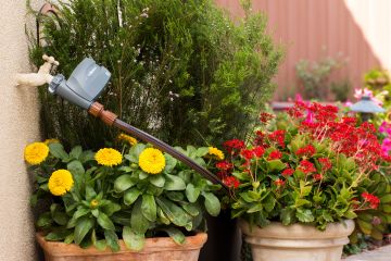 Triển khai và lắp đặt hệ thống tưới tự động