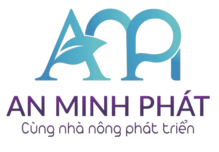 AMP